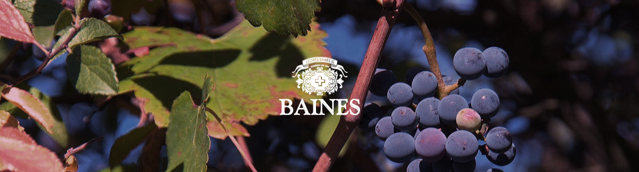 Licores Baines, conoce nuestra materia prima
