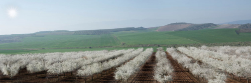 Licores Baines, tradición y artesanía
