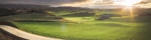 Licores Baines, solidarizados con el medioambiente