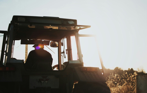 El impacto del cambio climático en la producción de vinos y licores